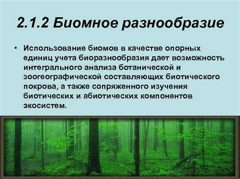 Использование биомов для поиска терракоты