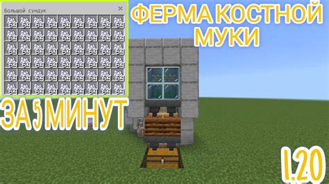 Использование костной муки в Minecraft