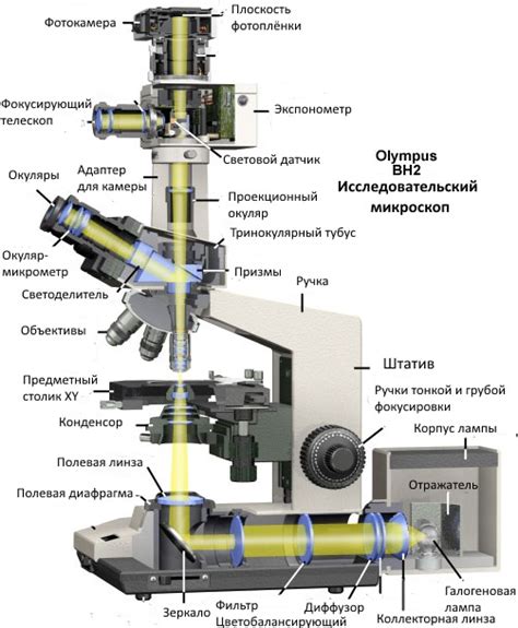 Использование оптического микроскопа в исследовании структуры металлов