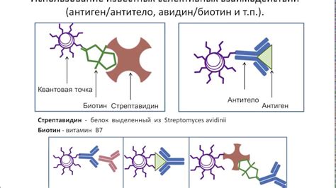 Использование памятных точек