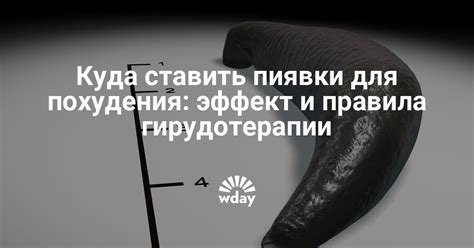 Использование пиявки для повышения уровня