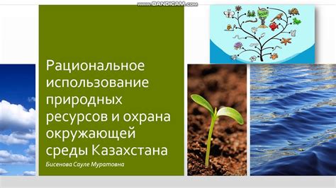 Использование природных источников