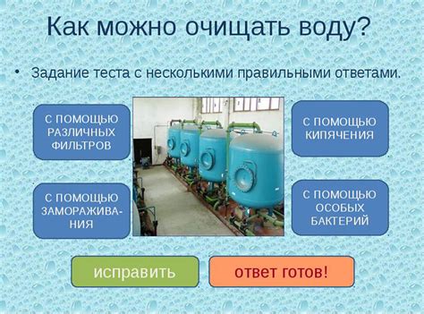 Использование растений для очистки воды