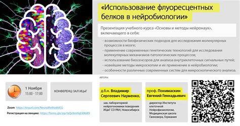 Использование флуоресцентных веществ