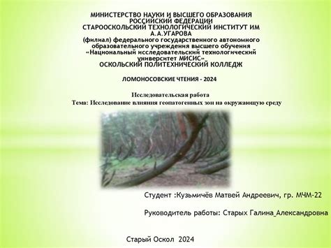 Исследование влияния гостей металлов на окружающую среду