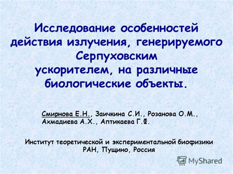 Исследование генерируемого мира