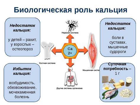 Исследование изотопного состава кальция и его роль в науке