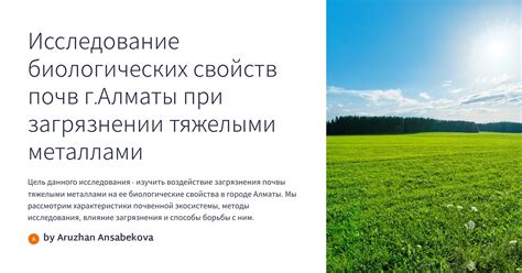 Исследование и методы рекультивации почв, загрязненных тяжелыми металлами