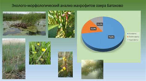 Исследование разнообразия природы