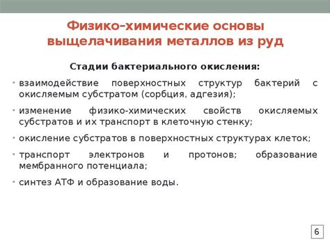 Исследования и инновации в области бактериального выщелачивания металлов