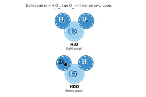 Исследования и результаты: как тяжелая вода влияет на концентрацию тяжелых металлов