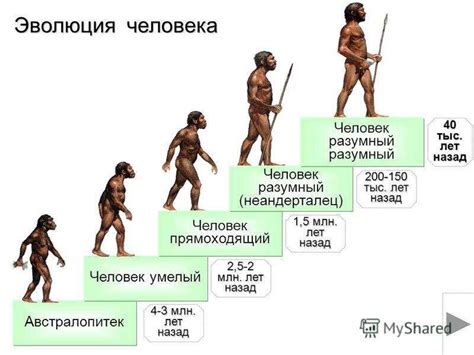 Историческая роль в развитии человечества