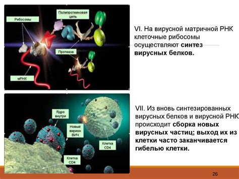 История возникновения спид металла