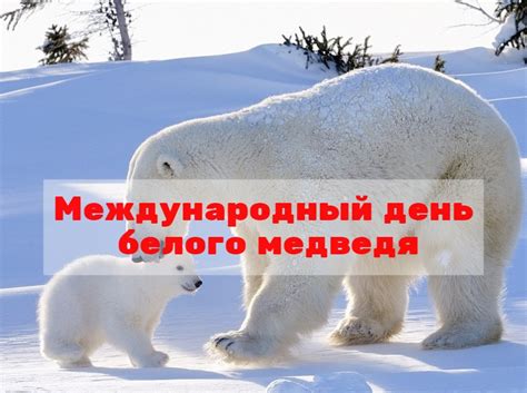 История международного дня белого медведя