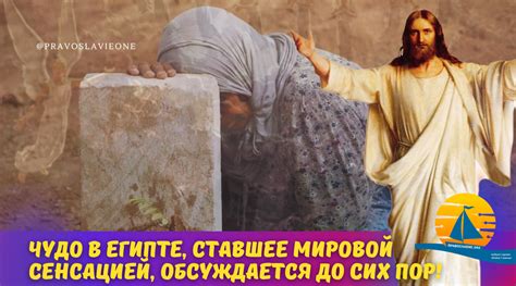 История становится глобальным сенсацией