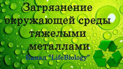 Источники загрязнения пищевой соли тяжелыми металлами