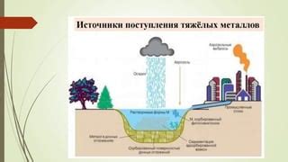 Источники загрязнения пищевых продуктов токсичными металлами