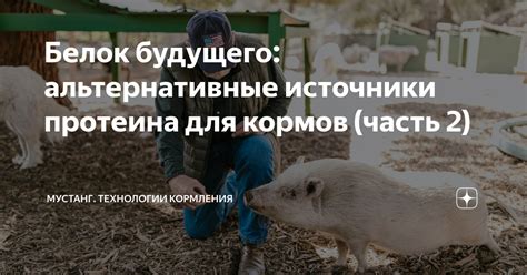 Источники кормов