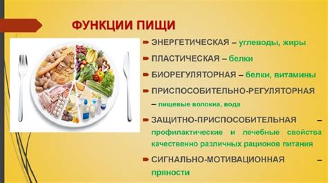 Источники макроэлементов в питании