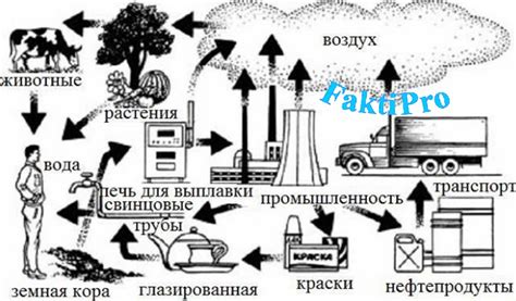 Источники мышьяка в окружающей среде