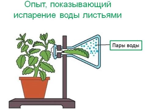 Источниковое охлаждение и предотвращение перегрева растений