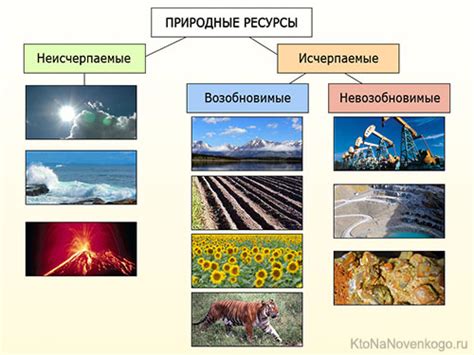 Исчерпаемые невозобновимые природные ресурсы: