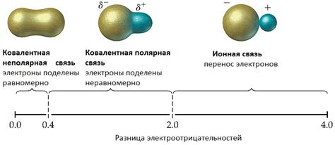 Какая связь существует между теплопроводностью и электронной проводимостью металлов?