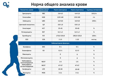 Какие анализы можно сдать в лаборатории Альфамед в Туле