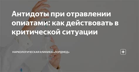 Какие антидоты можно использовать при отравлении?