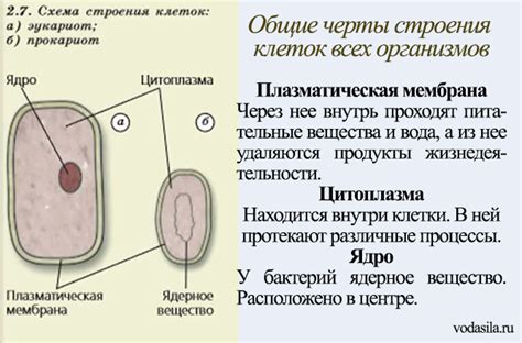 Какие блоки позволяют подняться в воде?