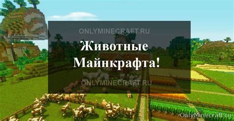 Какие виды Енгенов есть в Майнкрафте