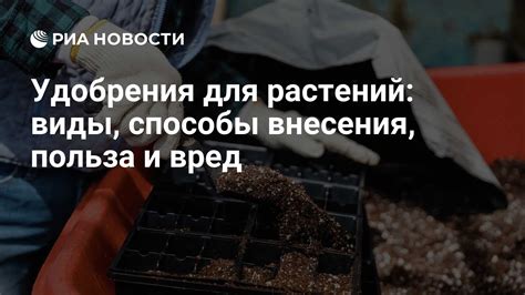 Какие виды удобрения существуют и для чего они нужны?