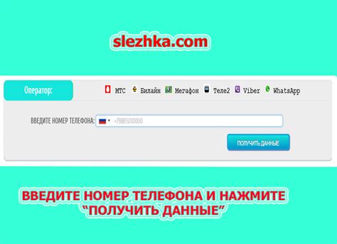 Какие данные можно узнать по номеру телефона?