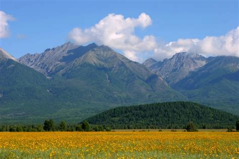 Какие меры предосторожности следует соблюдать?