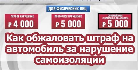 Какие номера помогут обжаловать штраф за нарушение самоизоляции?