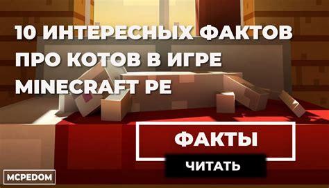 Какие песни про кота в Minecraft стали вирусными в сети?