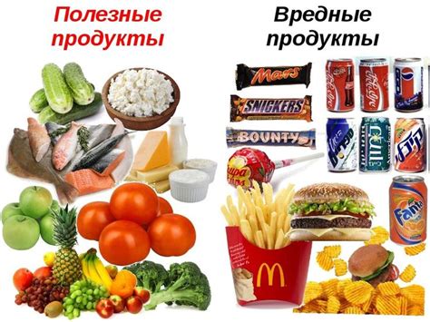 Какие продукты подходят для питания собачек