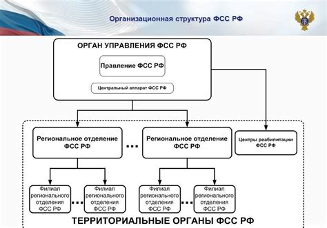 Какие режимы работы отделений фонда социального страхования?