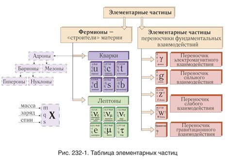 Какие типы частиц существуют и как их использовать