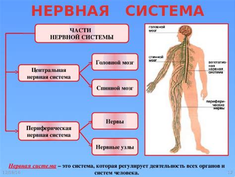 Какие функции выполняет повторитель