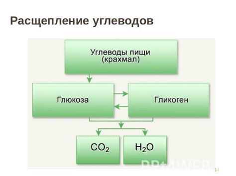 Какие явления в организме могут выдать проблемы с отравлением?