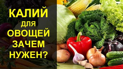 Какое значение имеет калий для нашего здоровья?