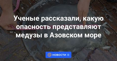 Какую опасность представляют зомби и скелеты в шипах?