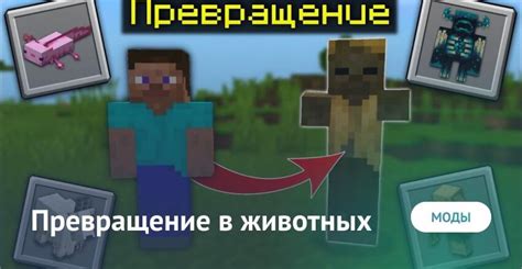 Как включить превращение животных в девочек в Minecraft?