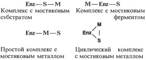 Как влияют ионы металлов на ферменты?