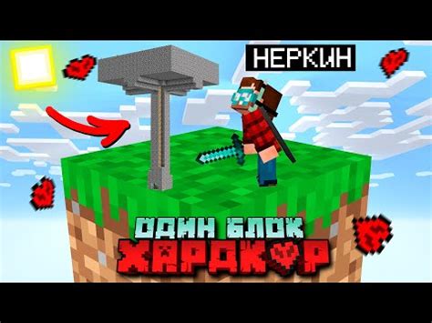 Как возвести бегемота в игре Майнкрафт: подробная инструкция