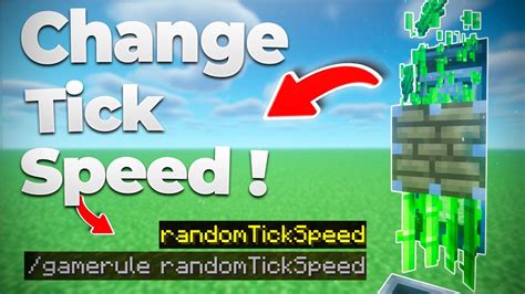 Как изменить randomtickspeed на сервере Minecraft