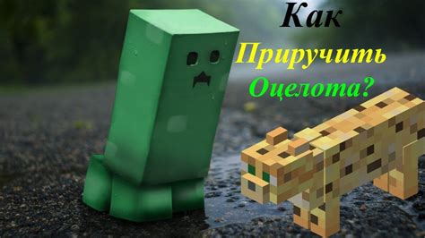 Как использовать голову оцелота в декоре?