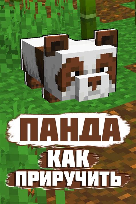 Как использовать голову панды в Minecraft