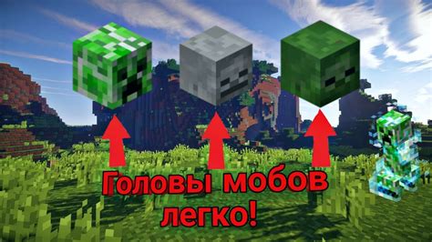 Как использовать головы в Майнкрафт для улучшения игры